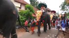 Getting randomly kicked by an elephant