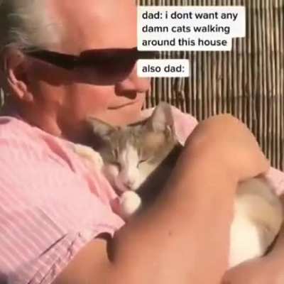 No pets allowed