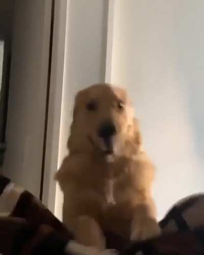 Wake. Up. And. Make. Me. Lunch!