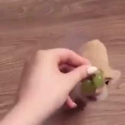 So adorable :)