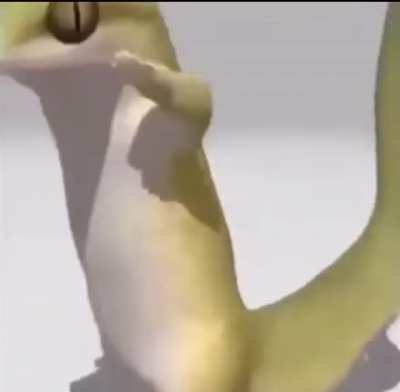 My Servine running through Clay’s gym knowing it’s the only good matchup he gets all game