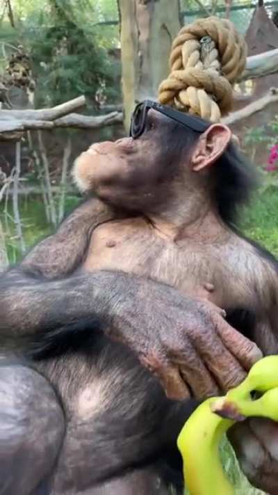Just Chillin