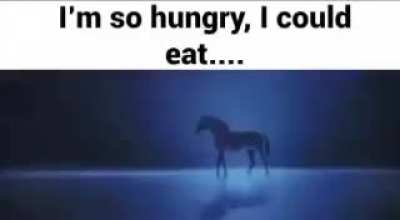 a horse.