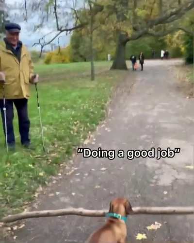 little guy with a big stick