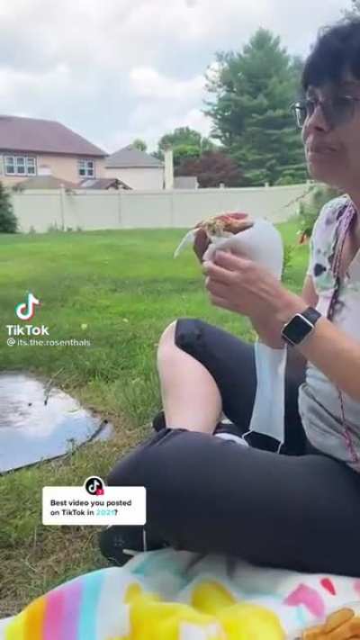Father’s Day Picnic