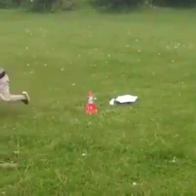 Кота не забудь!