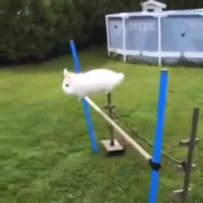 Wabbit