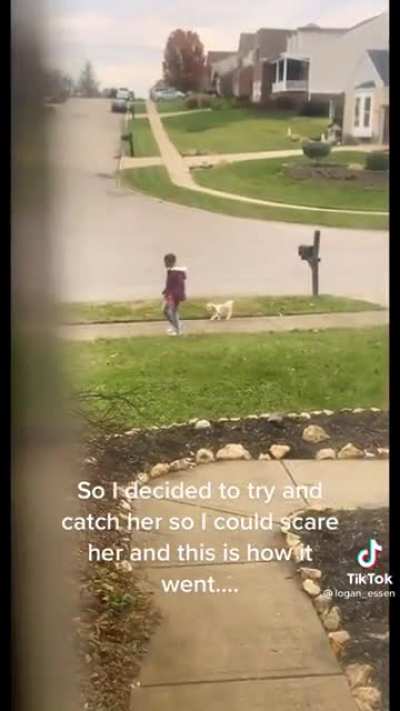 To Ding Dong Ditch