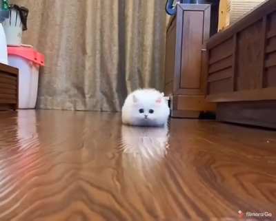 Sneaky cloud