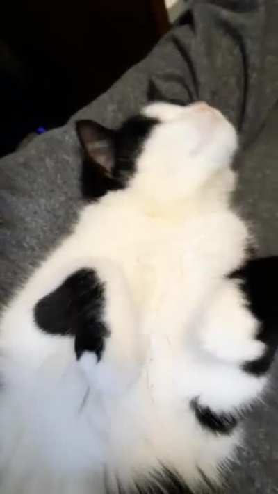 Nievi is so blissed out and chatty