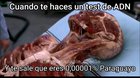 Que es Paraguay? 🤔🤔