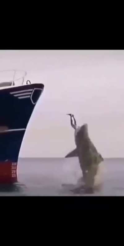 That splash was amazing.