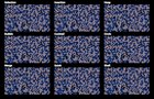 Learn sorting algorithm with Kronk
