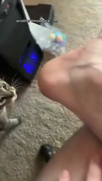Кусь!