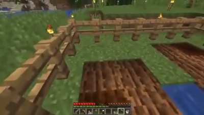 Minecraft...idk