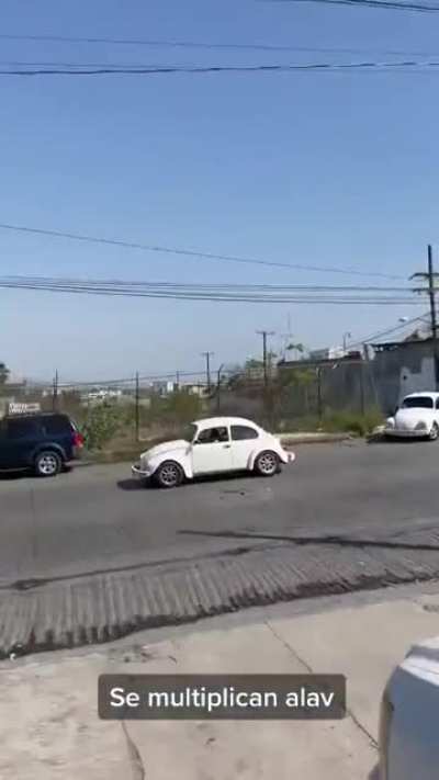 VW Beetle every where