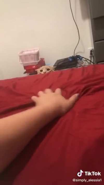 Oh god he's coming
