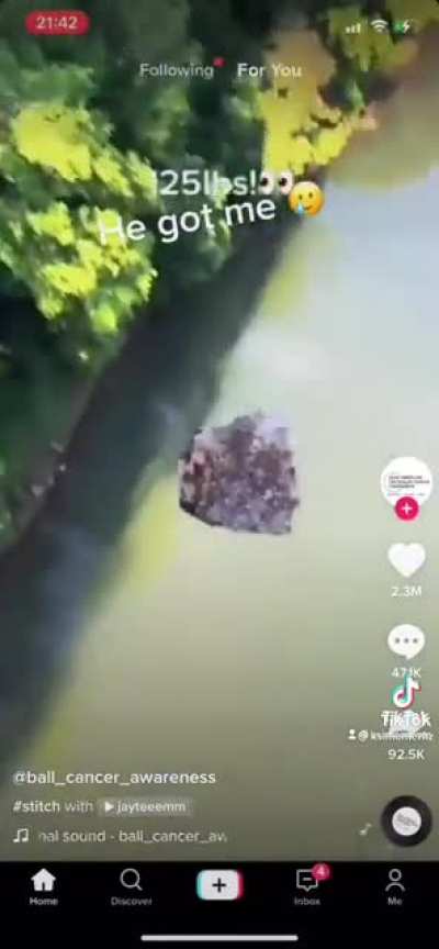 Caught in 4k