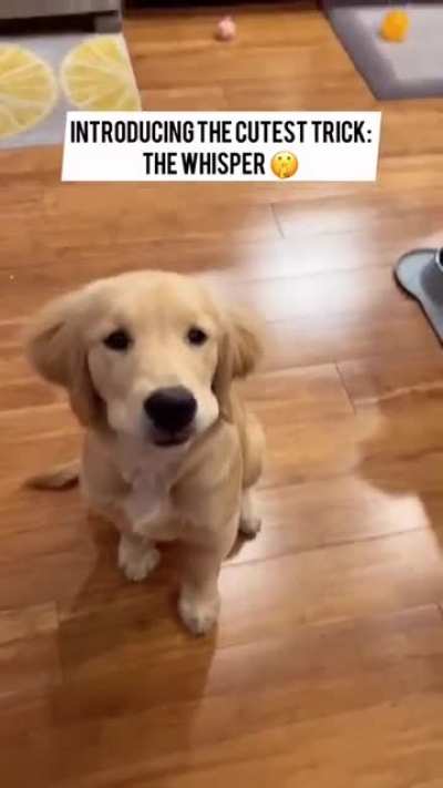 Does this count?