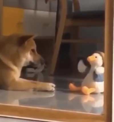 Bork Bork