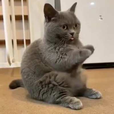Superderp