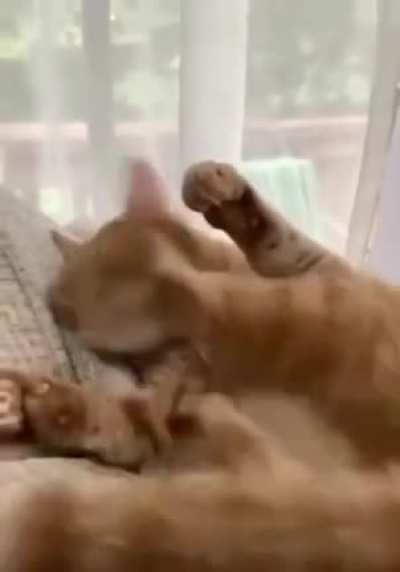 Does this count?