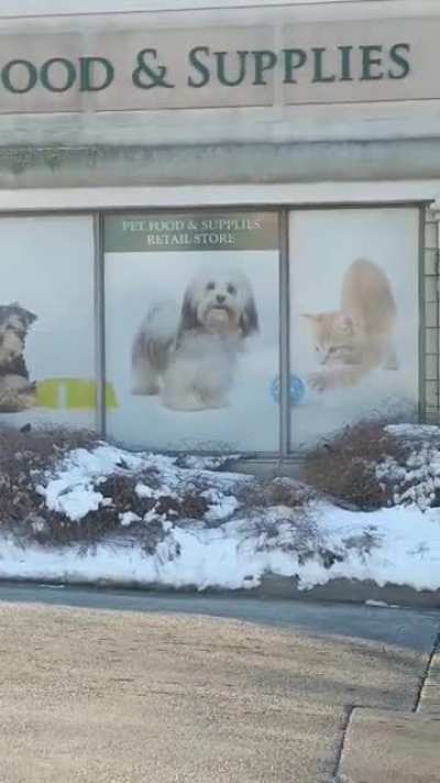 Pawlitical agenda