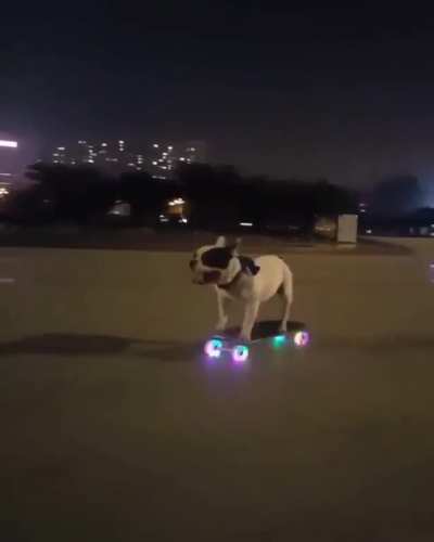 Skateboard artist