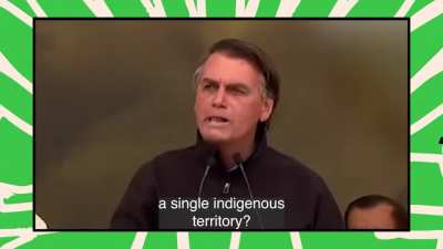 The direct link between Jair Bolsonaro, the ecocide of the Amazon, and the accelerating violence against its Indigenous peoples.