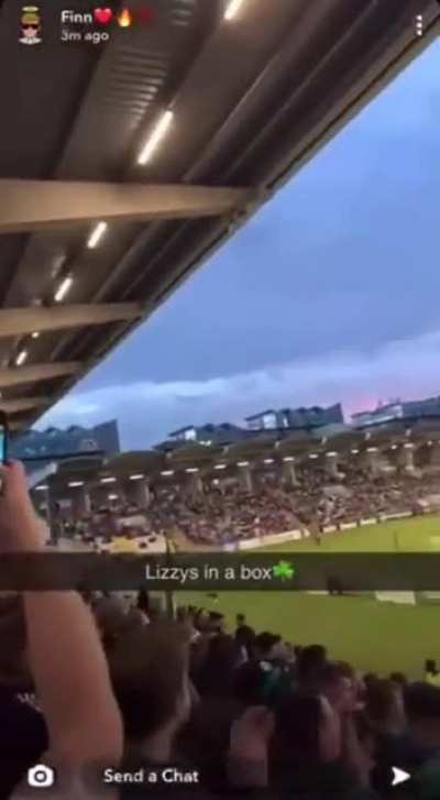 lizzys in a box