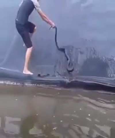 I don't like snakes.