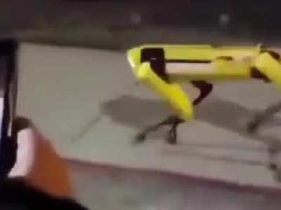 Rule 2