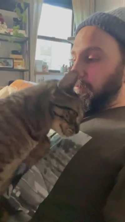 Coast is clear…? Cuddle time