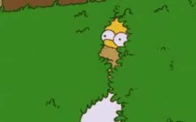 When you hear sirens on your street
