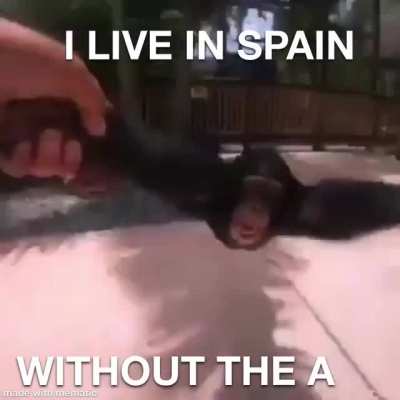 Spin 😔