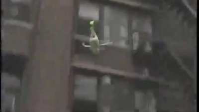 Kermit has an exaggerated swagger of a black teen