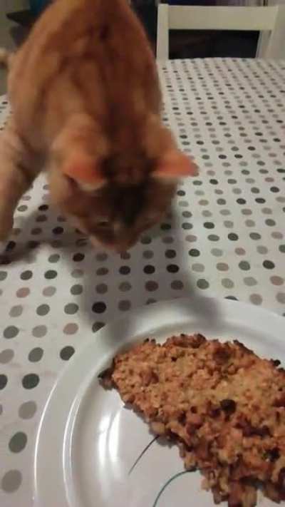 Touch tha oatmeal