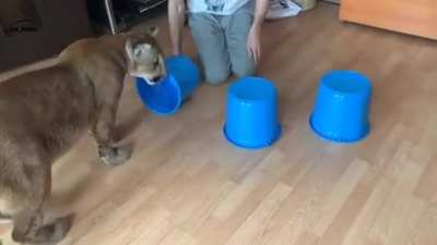 touch tha toy