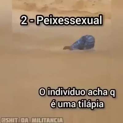 Em qual vc se indentifica??