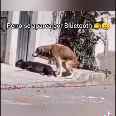 Simplemente épico