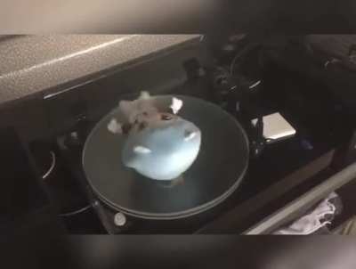 Fly me to the moon