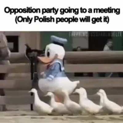 Polish slander