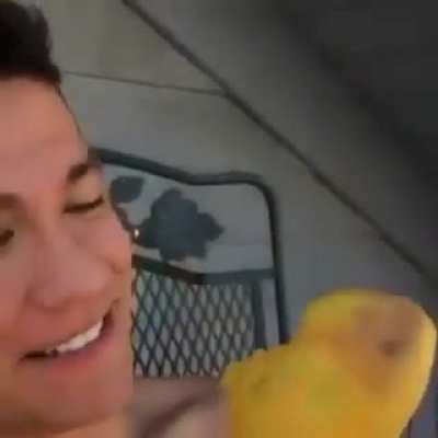 Mango on a fork
