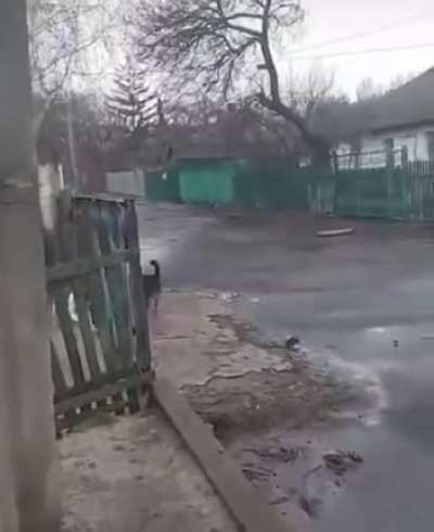 Вся суть интернет-баталий