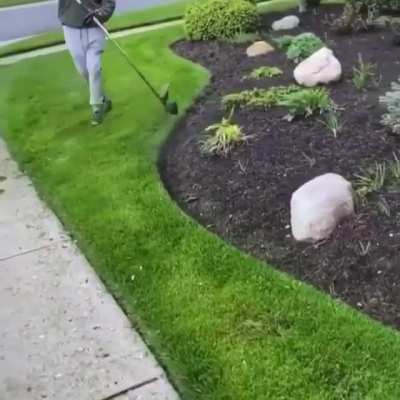 The perfect cut