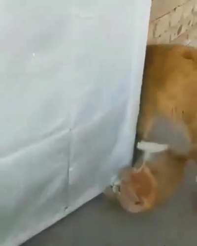 Maybe maybe maybe