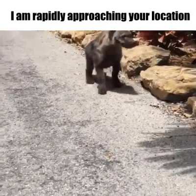 Run_irl