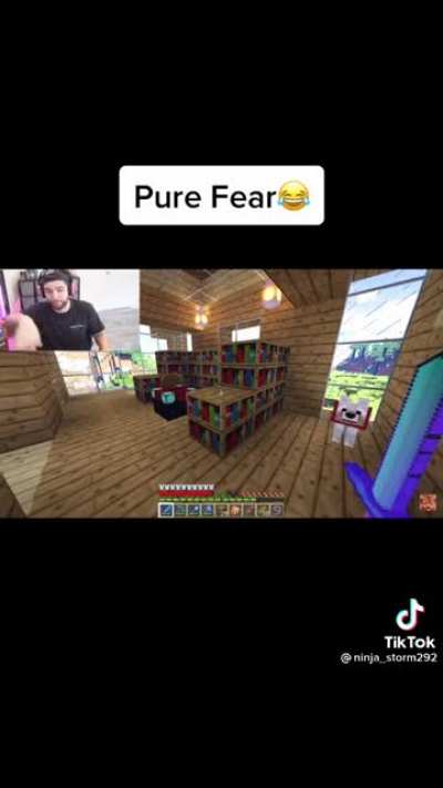 Idk what to title this but here you go