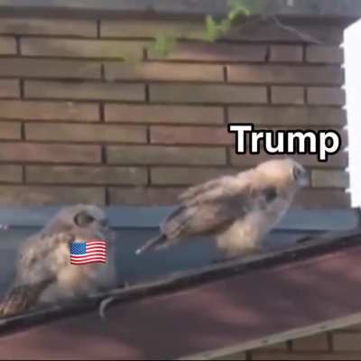 Based on a true story
