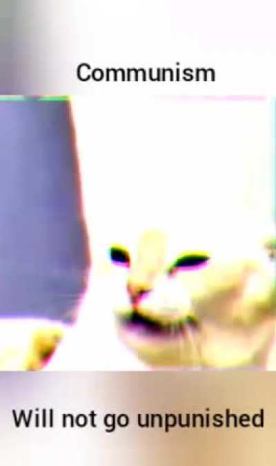Communism kitty